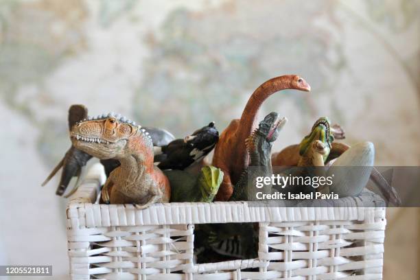 animal toys in toy box - toy animal stock pictures, royalty-free photos & images