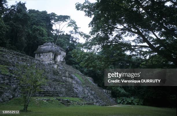 Palenque in Chiapas, Mexico in 2011 - Palenque was a Maya city state in southern Mexico that flourished in the 7th century. The Palenque ruins date...