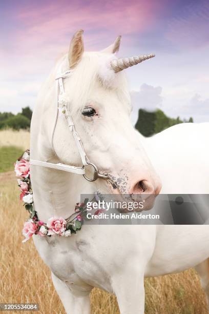 unicorn - unicorn stock pictures, royalty-free photos & images