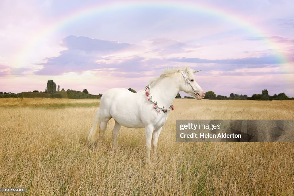 Unicorns