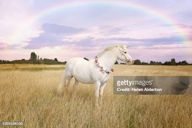 unicorns - unicorn stock pictures, royalty-free photos & images