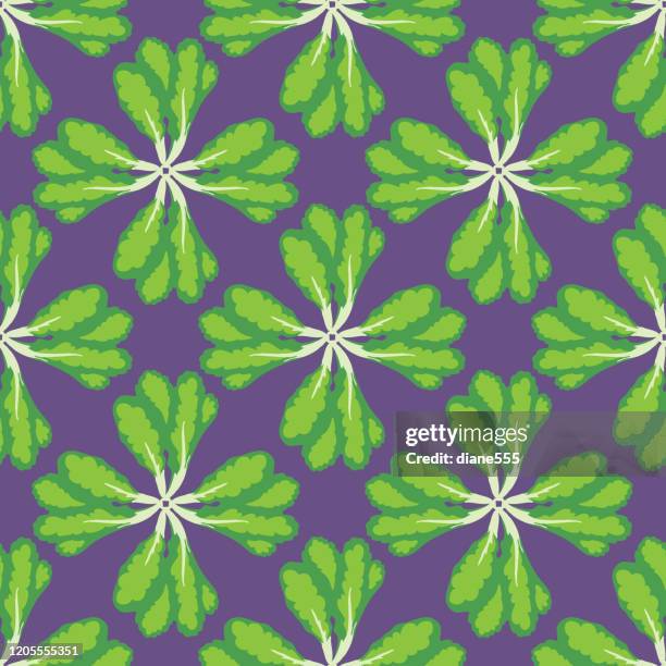 Cos Lettuce Pattern 47 Romaine Lettuce Wallpaper High Res Illustrations - Getty Images