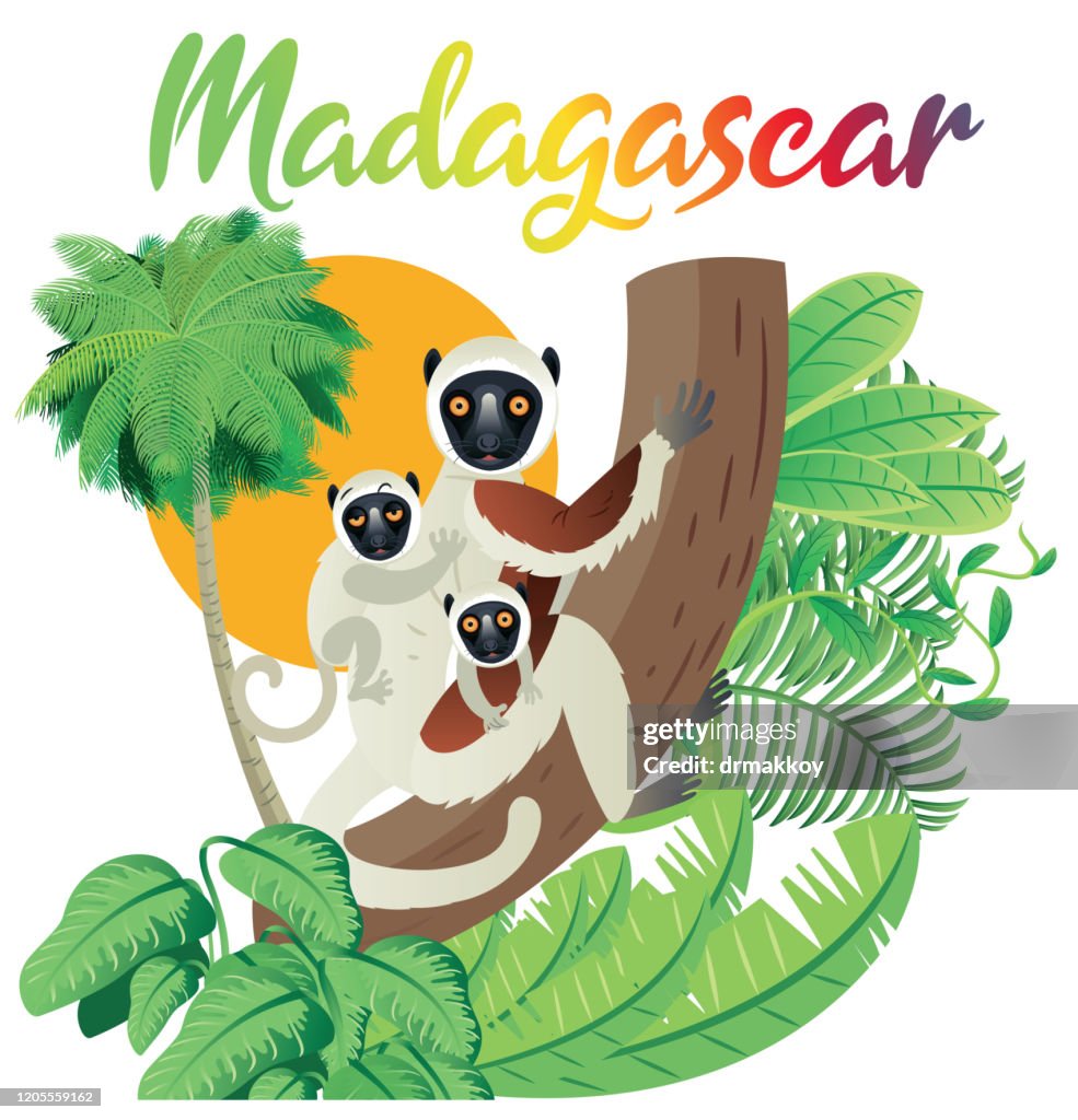 Madagascar Travel and Coquerel's Sifaka