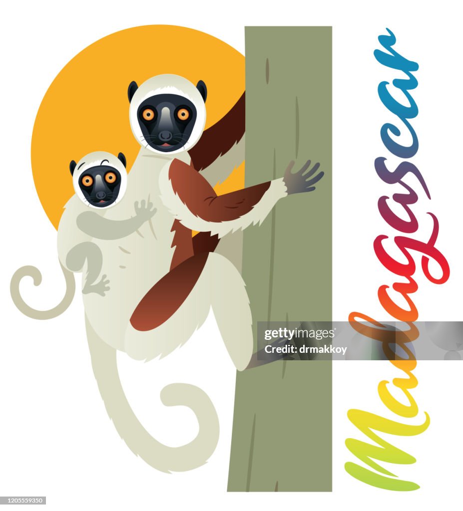 Coquerel's Sifaka and Madagascar