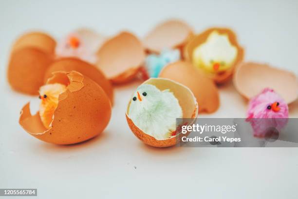 studio shot easter chicken eggs and toys - hello spring stock pictures, royalty-free photos & images