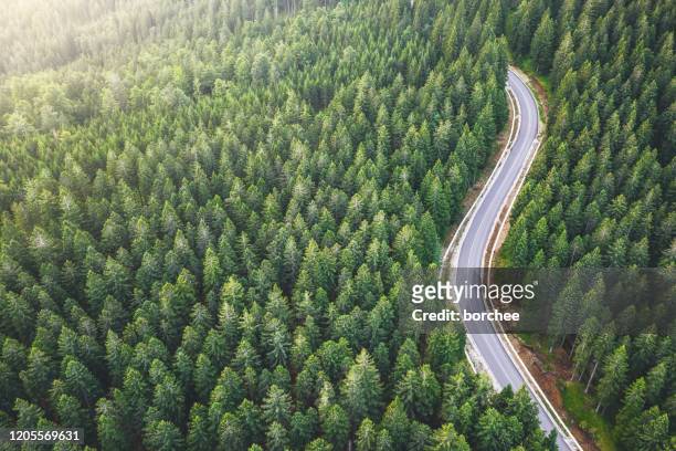 carretera de montaña pintoresca - punto de vista de dron fotografías e imágenes de stock