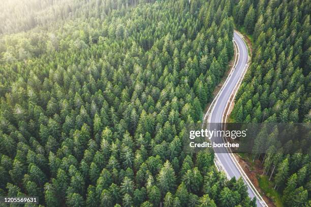 絵のように美しい山道 - 一本道 ストックフォトと画像