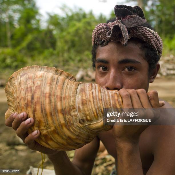 Traditional call it a shell in Papua New Guinea on October 03, 2009 - In the area of Alotau, we crossed villagers who were carving a giant boat . The...