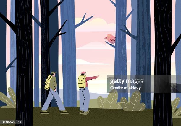 waldwandern - forest stock-grafiken, -clipart, -cartoons und -symbole