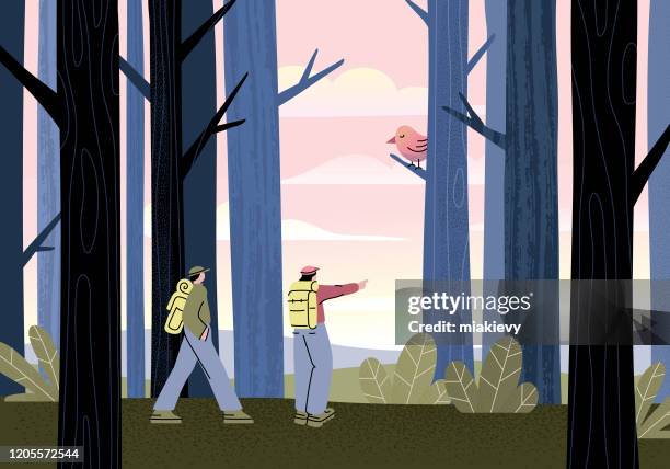 illustrations, cliparts, dessins animés et icônes de randonnée en forêt - forêt