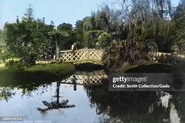 Black and white landscape photograph of a man standing on the bridge over a lake surrounded by lush vegetation in the Royal Botanic Garden in Sydney,...