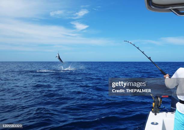 para atrapar un marlin - pez espada fotografías e imágenes de stock