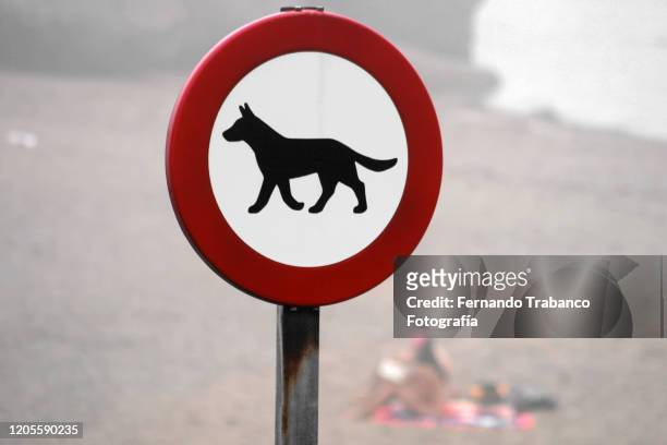 sign prohibited dogs - warnschild hund stock-fotos und bilder