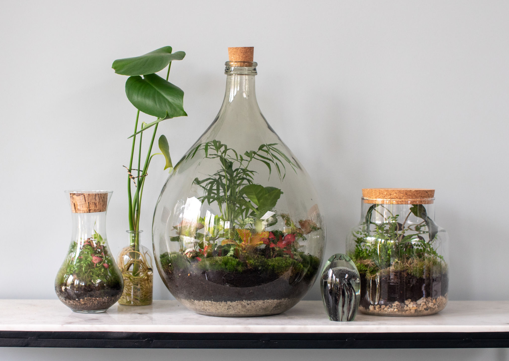 terrarium home decor