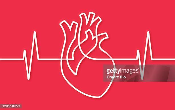 heart single line pulse trace design - human heart stock illustrations