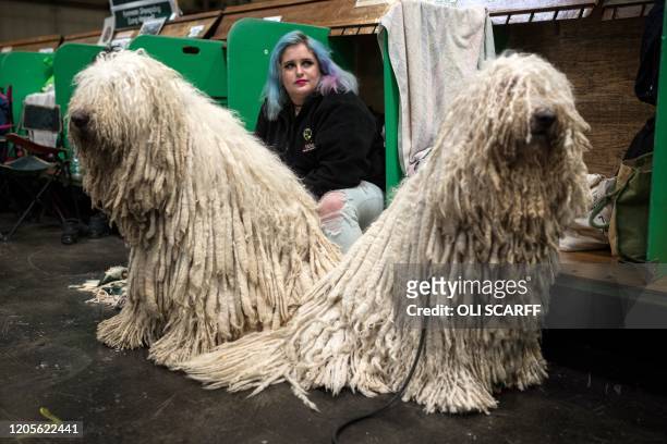 Woman sits with two Komondor dogs on the third day of the Crufts dog show at the National Exhibition Centre in Birmingham, central England, on March...