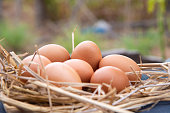 Group of eggs on blur background.