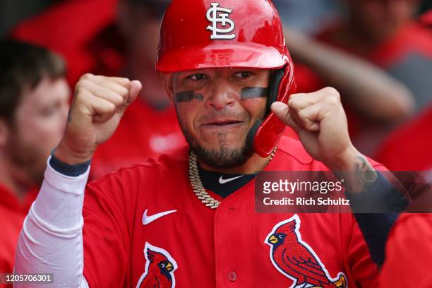 Yadier Molina of the St. Louis Cardinals is congratulated after scoring on a double by Matt Wieters during the fourth inning of a spring training...