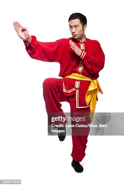 man in traditional chinese clothing doing martial arts - カンフー ストックフォトと画像