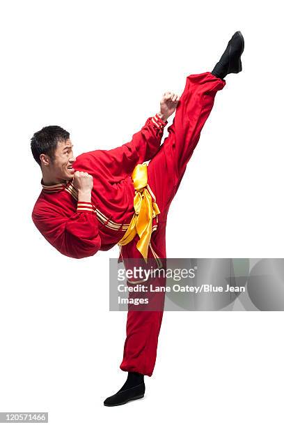 man in traditional chinese clothing doing martial arts - kung fu pose stock pictures, royalty-free photos & images