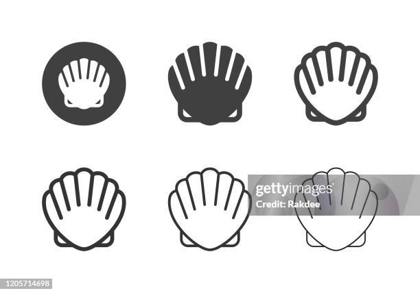 ilustrações, clipart, desenhos animados e ícones de ícones de vieira - multi série - oyster shell