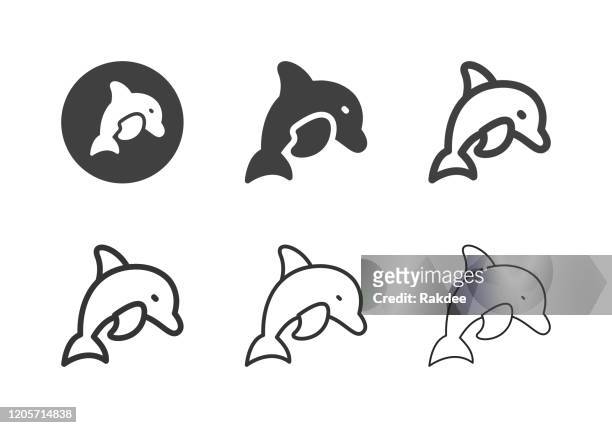 183 Dolphin Outline High Res Illustrations - Getty Images