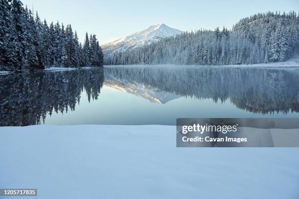 mountain reflecting in lake in winter with snow - mt bachelor stock pictures, royalty-free photos & images