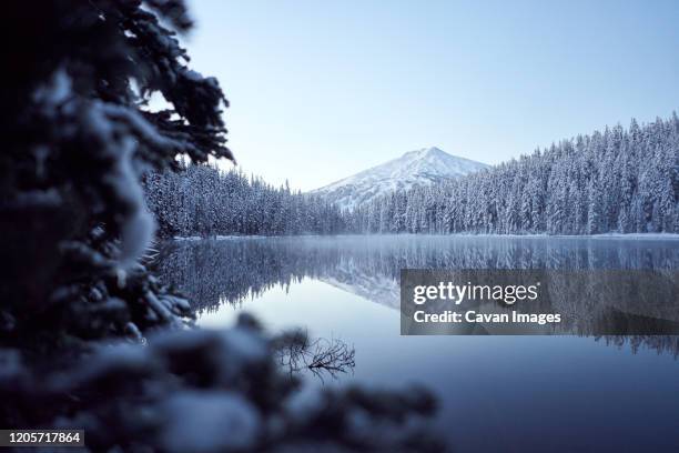 snowy mountain reflecting in lake with trees in foreground - mt bachelor stock pictures, royalty-free photos & images