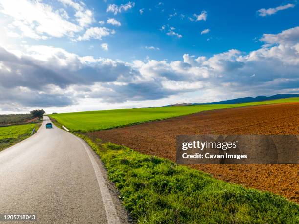 landscape in fuente de piedra, malaga, spain - carretera de tierra stock-fotos und bilder