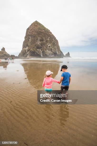 brother and sister holding hands while at the beach. - cannon beach imagens e fotografias de stock