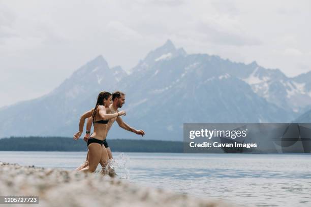 couple runs into jackson lake for a swim, tetons in the background - jackson wyoming 個照片及圖片檔