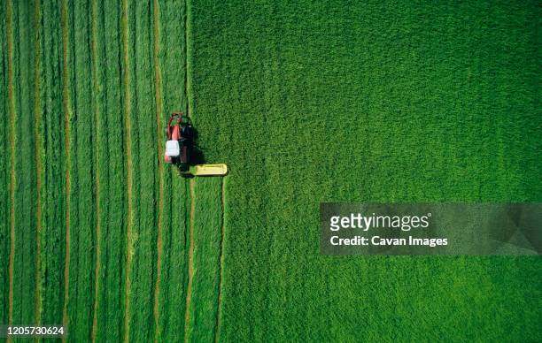 powerful transport symmetrically plowing green wheat field - field aerial imagens e fotografias de stock