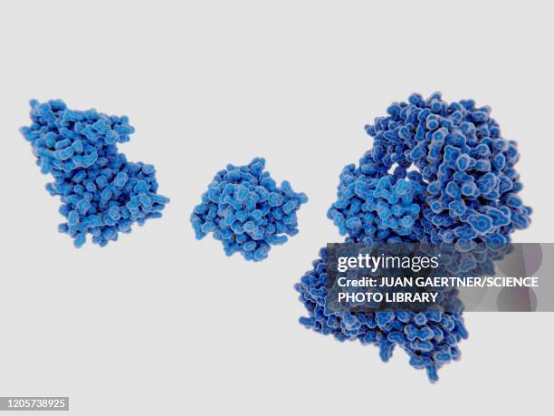 illustrazioni stock, clip art, cartoni animati e icone di tendenza di nek7 kinase binding to nrlp3 inflammasome, molecular model - enzymes