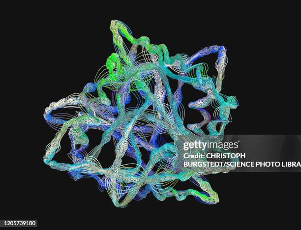 protein, illustration - protein stock illustrations