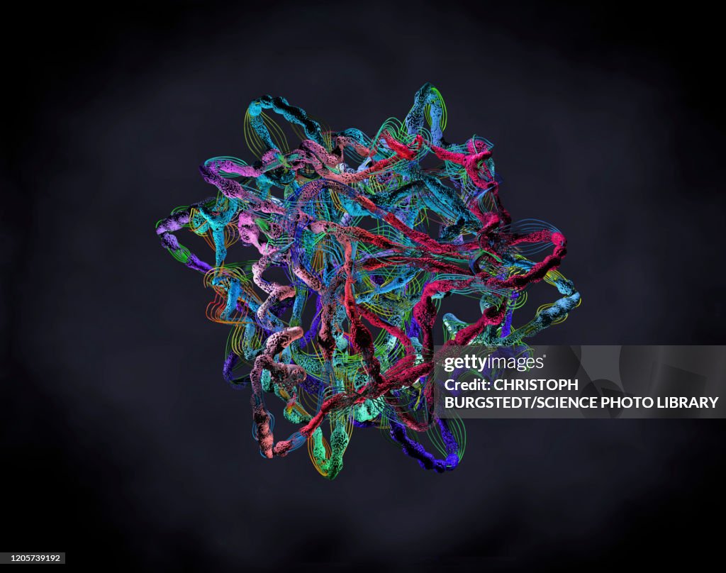Protein Illustration High-Res Vector Graphic - Getty Images