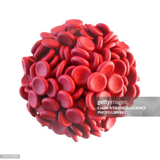 ilustrações de stock, clip art, desenhos animados e ícones de red blood cells, illustration - glóbulo vermelho