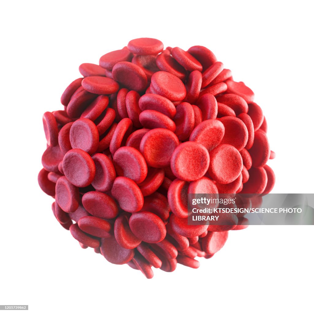 Red blood cells, illustration
