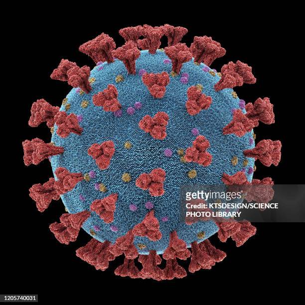Coronavirus particle, illustration