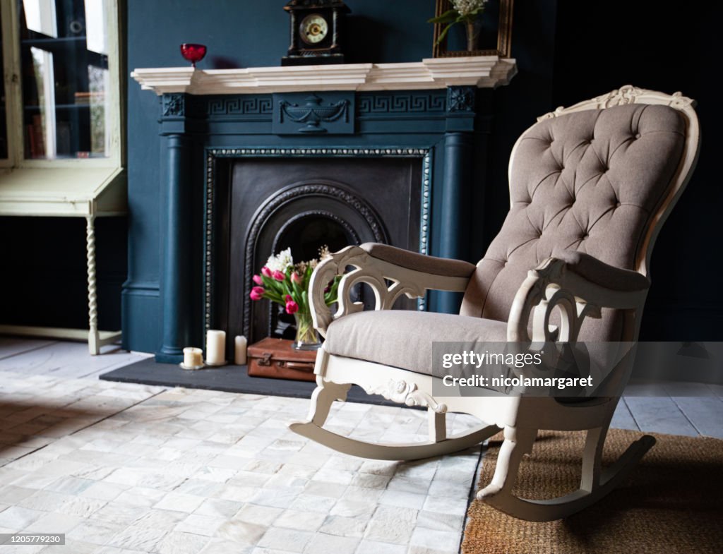 Fashionable Living Room interior