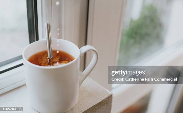 adding milk to tea - white tea stock pictures, royalty-free photos & images