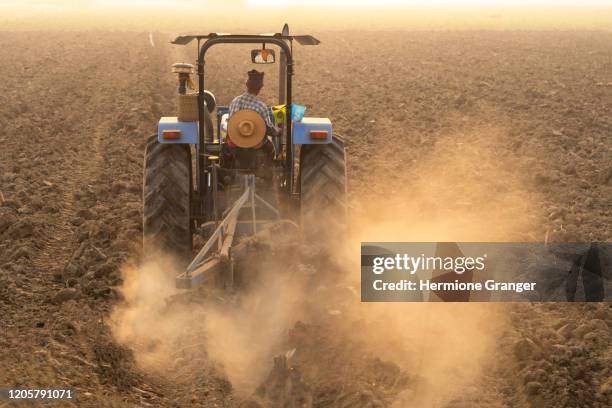 farmer agriculture tractor asia farm rice manioc - farmers work at rice farm stock pictures, royalty-free photos & images