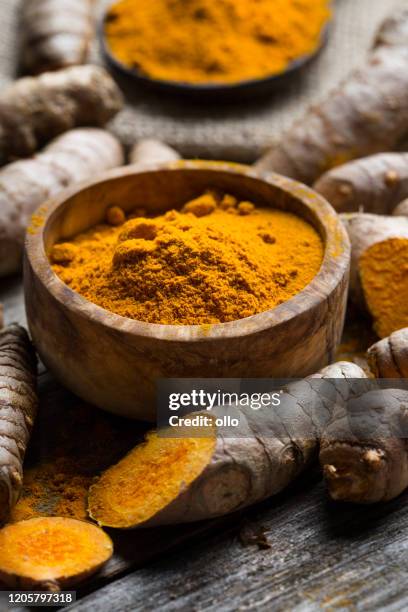 curcuma longa, powder and rhizomes - açafrão da índia imagens e fotografias de stock