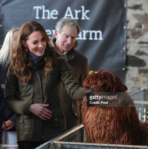 Catherine, Duchess of Cambridge meets an alpaca as she visits at The Ark Open Farm on February 12, 2020 in Newtownards, Northern Ireland. This visit...