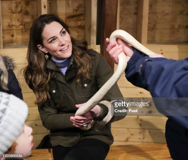 Catherine, Duchess of Cambridge holds a snake as she visits The Ark Open Farm on February 12, 2020 in Newtownards, Northern Ireland. This visit is...