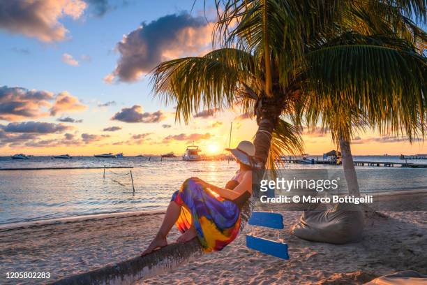 woman laying on palm tree admiring the sunset on isla mujeres, cancun, mexico - hispanoamérica fotografías e imágenes de stock