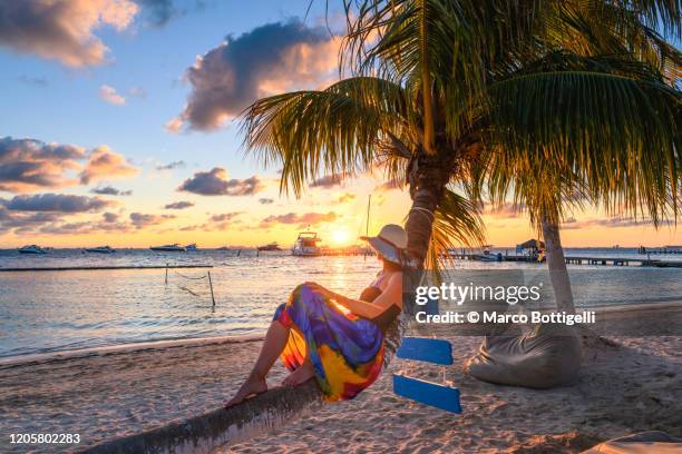 woman laying on palm tree admiring the sunset on isla mujeres, cancun, mexico - cancun 個照片及圖片檔