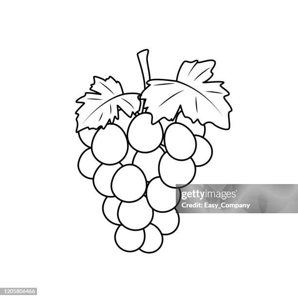 ilustrações de stock, clip art, desenhos animados e ícones de vector illustration of grape isolated on white background. for kids coloring book. - cachorro-quente