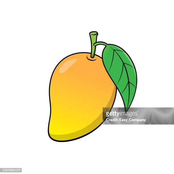 65 Mango Drawing Photos and Premium High Res Pictures - Getty Images