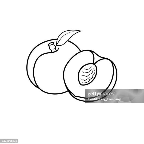 stockillustraties, clipart, cartoons en iconen met de illustratie van de vector van zwart-witte abrikozenvector die op witte achtergrond voor kinderen kleurboek wordt geïsoleerd. - peaches drawing