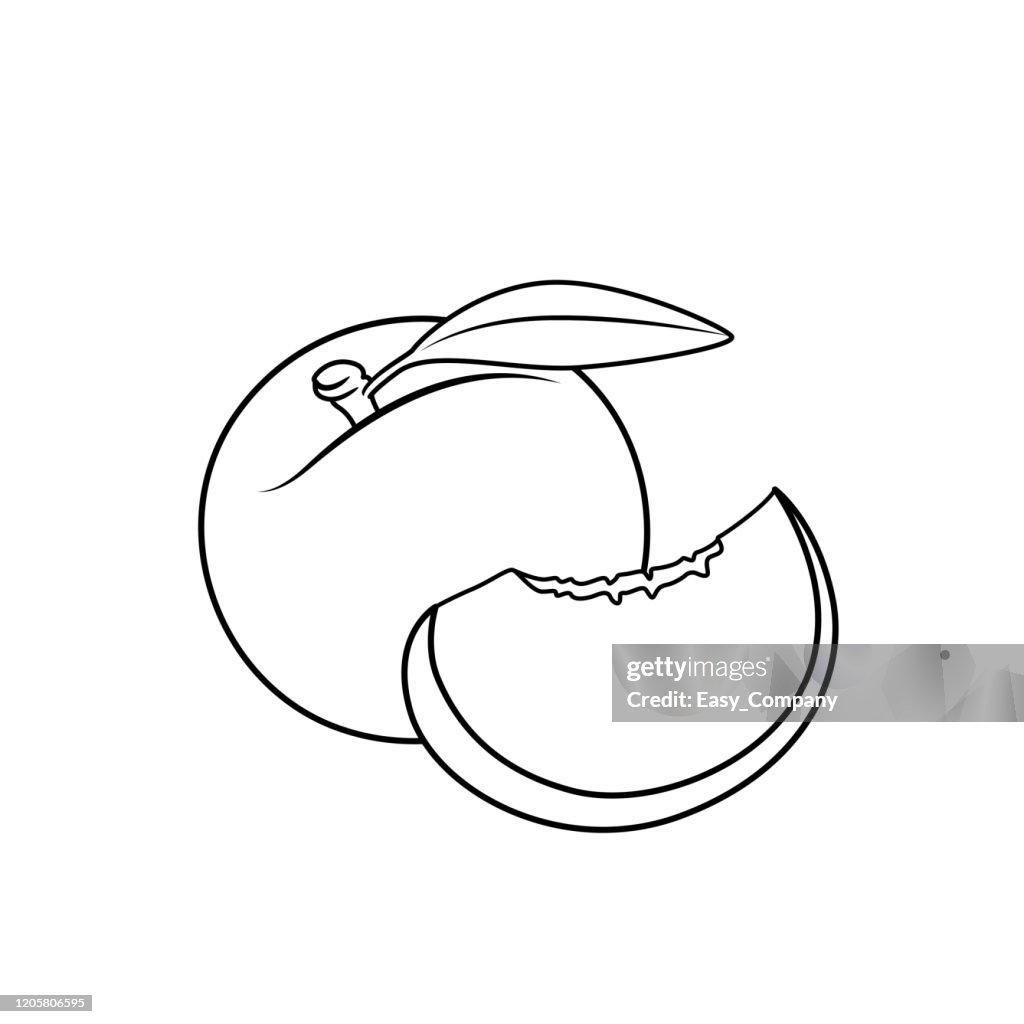 Vector illustration of peach vector isolated on white background for children coloring book.